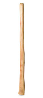 Medium Size Natural Finish Didgeridoo (TW1610)